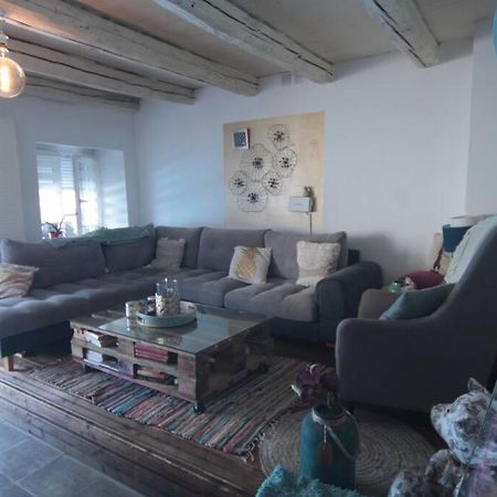 Appartement 90 M2 Vic-sur-Seille المظهر الخارجي الصورة