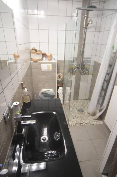 Appartement 90 M2 Vic-sur-Seille المظهر الخارجي الصورة