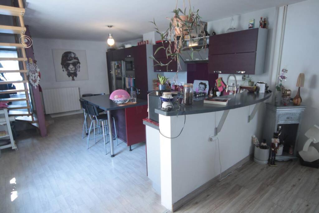 Appartement 90 M2 Vic-sur-Seille المظهر الخارجي الصورة