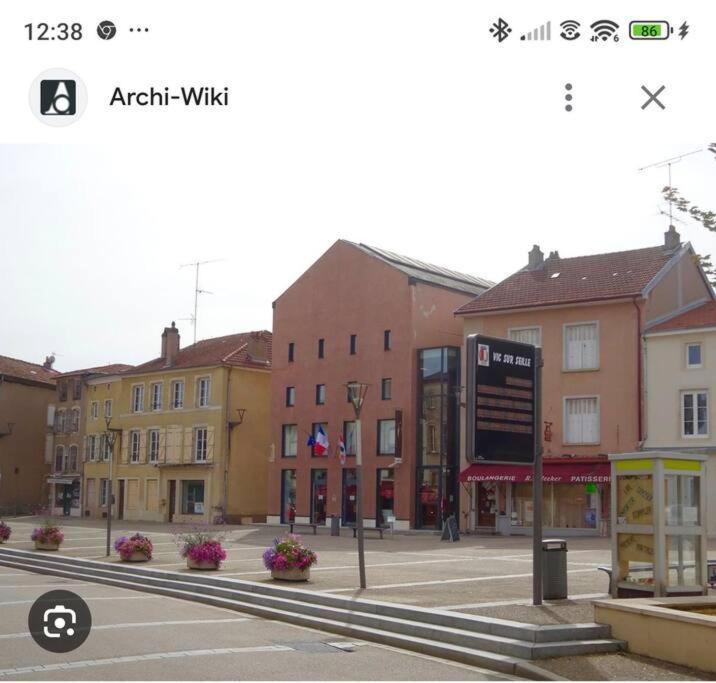 Appartement 90 M2 Vic-sur-Seille المظهر الخارجي الصورة